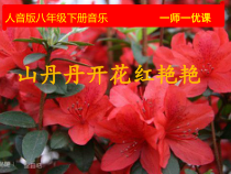 《☆山丹丹开花红艳艳》PPT课件3-八年级下册音乐【人音版】