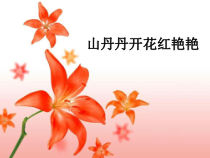 《☆山丹丹开花红艳艳》PPT课件4-八年级下册音乐【人音版】
