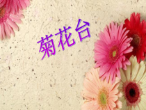 《像花儿一样》PPT课件1-八年级下册音乐【人音版】