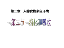 《第2节 食物的消化和营养物质的吸收》PPT课件3-北师大版生物七年级下册