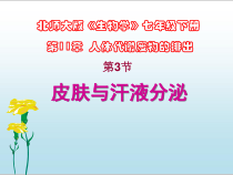 《第3节 皮肤与汗液分泌》PPT课件3-北师大版生物七年级下册