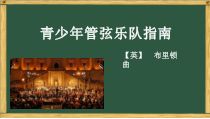 《青少年管弦乐队指南》PPT课件1-七年级下册音乐（五线谱）【人音版】