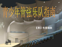 《青少年管弦乐队指南》PPT课件2-七年级下册音乐（五线谱）【人音版】