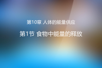 《第1节 食物中能量的释放》PPT课件3-北师大版生物七年级下册