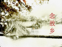 《念故乡》PPT课件1-八年级下册音乐（五线谱）【人音版】