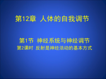《第1节 神经系统与神经调节》PPT课件3-北师大版生物七年级下册
