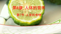 《第1节 人类的食物》PPT课件2-北师大版生物七年级下册