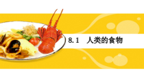 《第1节 人类的食物》PPT课件3-北师大版生物七年级下册