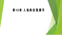 《第1节 神经系统与神经调节》PPT课件4-北师大版生物七年级下册