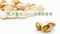 《第2节 食物的消化和营养物质的吸收》PPT课件4-北师大版生物七年级下册