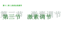 《第3节 激素调节》PPT课件1-北师大版生物七年级下册