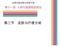 《第3节 皮肤与汗液分泌》PPT课件2-北师大版生物七年级下册