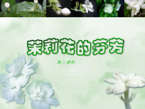 《歌剧《图兰朵》选段（女声合唱）》PPT课件1-七年级上册音乐【苏少版】