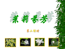 《茉莉花（一）》PPT课件1-七年级上册音乐【苏少版】
